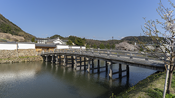 バーチャル公開・観光PR